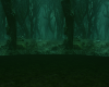 Green dark forest