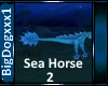 [BD] Sea Horse 2