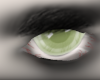 Lime |Eyes|