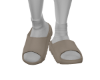 Tan Slides