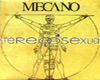 Mecano-stereosexual