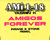 Amigos Forever (RMX)
