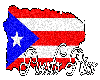 Puerto Rico Island Flag