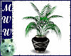 Blk & Silv Potted Plant