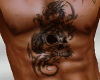 [MM] dragon&skull tattoo