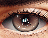 金 Nut Eyes