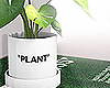 "Plant"