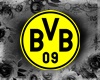 BVB Fan House