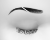♣Eyebrows Cut♣