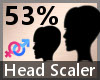 Head Scaler 53% F A