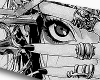 Chromegirlz