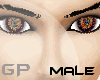 [GP] ..Exclusive Eyes..