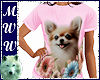 Chihuahua Tee