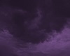 Night  Purple Sky