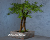 Rustic Planter