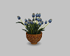 Animated Flower Pot