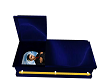 blue/gold coffin