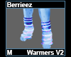 Berrieez Warmer M V2