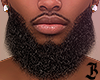 🅱 - Perfect Beard