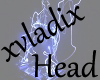 head 1