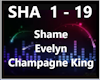 Shame-EvelynChampagneKin