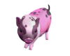 Pink Pig