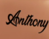 *Anthony Custom Tattoo