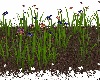 Flower Garden Patch 1