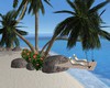 Beach Sundeck
