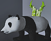 Panda Bamboo Plant