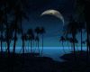 Dark Night Background
