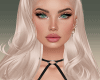 Flavia Plat Req