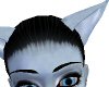[AG] Gryfin Ears
