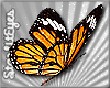 *Monarch Butterflies*