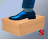 Shoe Shine Blue