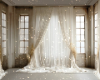 Ivory Window Bg