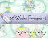 36 Weeks Pregnant (b)