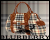 Shoulder Bag (Blurberry)
