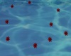*RD* Red Floating Lotus