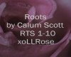 Roots by Calum Scott