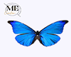 ME Blue butterfly flight