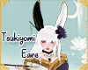 !A| Tsuki Ears