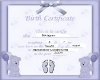 Birth certificate 2
