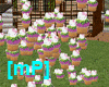 [mP] Cupcake Attack!!