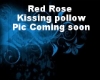 Red Rose Kissinh Pollow