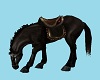 CK   Ranch  Horse  1