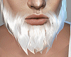 white beard - M