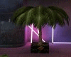✘  Palm Tree
