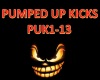 Pumped up kicks. PUK1-13