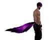 Fur Tail Purple